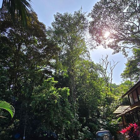 Cool Waters Jungle Villas อูวีตา ภายนอก รูปภาพ