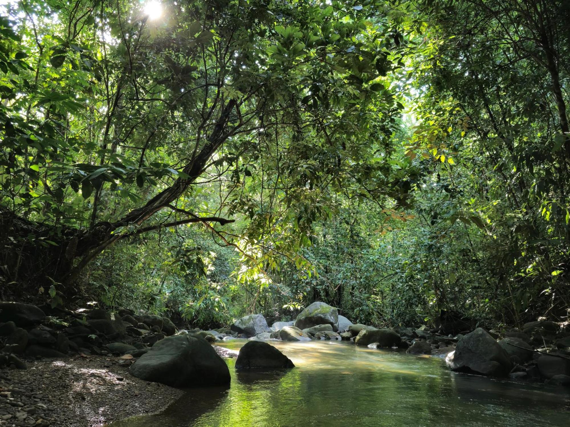 Cool Waters Jungle Villas อูวีตา ภายนอก รูปภาพ