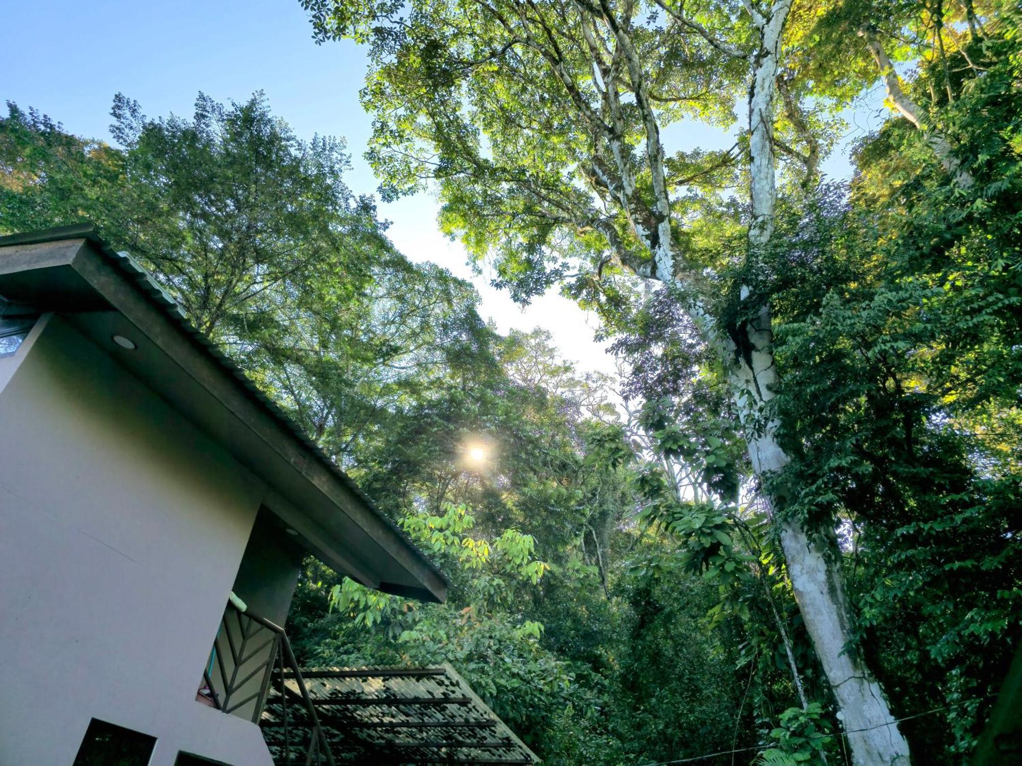 Cool Waters Jungle Villas อูวีตา ภายนอก รูปภาพ