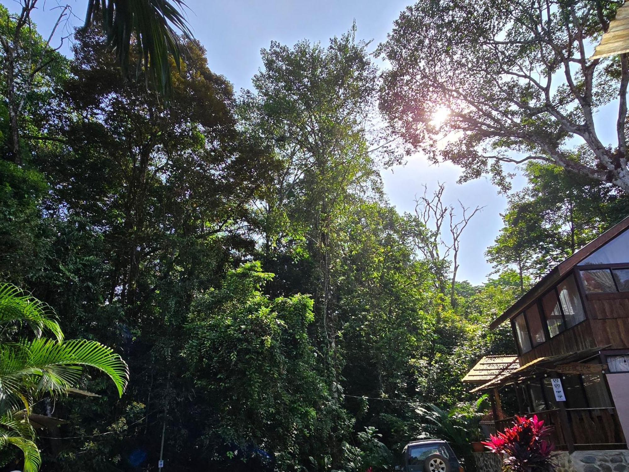 Cool Waters Jungle Villas อูวีตา ภายนอก รูปภาพ