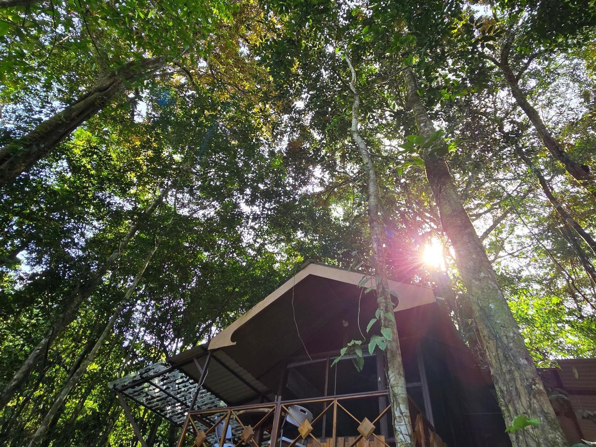 Cool Waters Jungle Villas อูวีตา ภายนอก รูปภาพ
