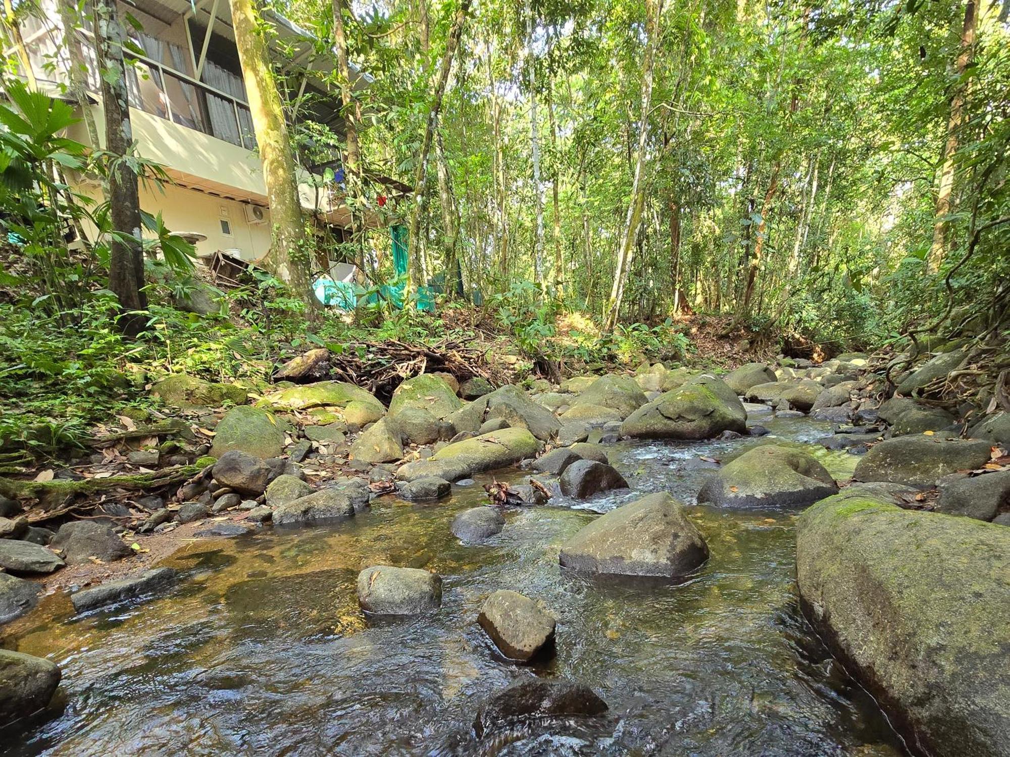 Cool Waters Jungle Villas อูวีตา ภายนอก รูปภาพ
